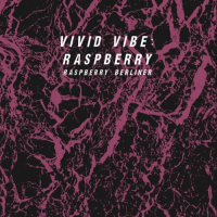 Пиво Vivid Vibe: Raspberry Пиво Vivid Vibe: Raspberry