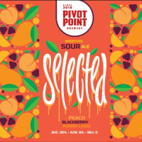 Пиво Selected Peach Blackberry Mango Lassi Пиво Selected Peach Blackberry Mango Lassi