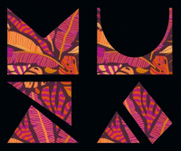 Пиво TFS: PASSION, PINEAPPLE, ALFONSO