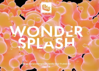Пиво Wonder Splash #3