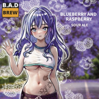 Пиво BLUEBERRY AND RASPBERRY