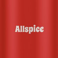 Пиво Allspice Пиво Allspice