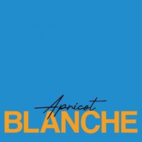 Пиво Apricot Blanche Пиво Apricot Blanche