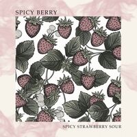 Пиво Spicy Berry