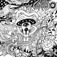 Пиво Wrong Paradigm: Mandarin, Peach, White Grapes & Lemon