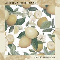 Пиво Anthracothorax