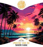 Пиво Smoothie Sour Ale Маракуйя и ананас