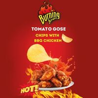 Пиво Chips With BBQ Chicken