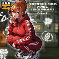 Пиво ELDERBERRY FLOWERS, ORANGE, LEMON AND APPLE