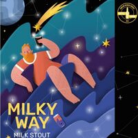 Пиво Wrong Way - Milky Way
