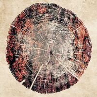 Пиво Lava Gradient