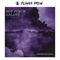 Пиво Hop Punch Galaxy 