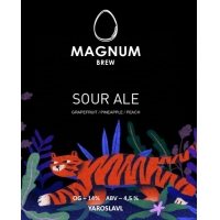 Пиво Sour With Grapefruit/pineapple/peach