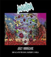 Пиво Juicy Hurricane: Pink Guava & Raspberry