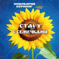Пиво Стаут с Семечками Пиво Стаут с Семечками
