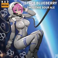 Пиво SPACE BLUEBERRY