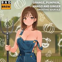 Пиво ORANGE, PUMPKIN, MANGO AND GINGER Пиво ORANGE, PUMPKIN, MANGO AND GINGER