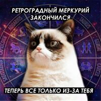 Пиво Мэджик Месс Астрология Пиво Мэджик Месс Астрология