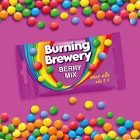 Пиво Berry Mix