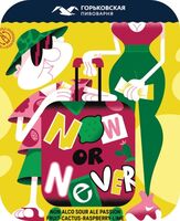 Пиво Now Or Never