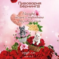 Пиво Сакура, Белая Смородина и Розовая Соль