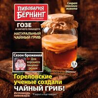Пиво Чайный Гриб