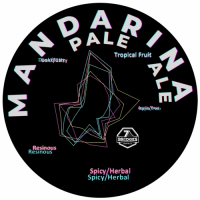 Пиво Mandarina Pale Ale Пиво Mandarina Pale Ale