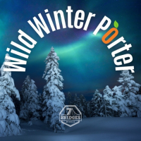 Пиво Wild Winter Porter Пиво Wild Winter Porter