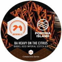 Пиво Barrel Aged Heavy On the Citrus