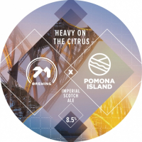 Пиво Heavy On the Citrus Пиво Heavy On the Citrus