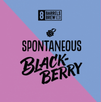 Пиво Spontaneous Blackberry