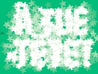 Пиво Fleur de Sureau 2020