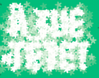 Пиво Fleur de Sureau