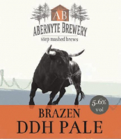 Пиво Brazen DDH Pale Пиво Brazen DDH Pale