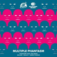Пиво Multiple Phantasm Пиво Multiple Phantasm
