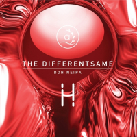 Пиво The Differentsame