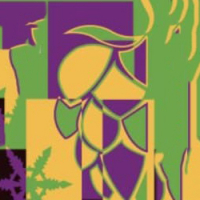 Пиво Císařský Ležák