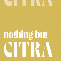 Пиво Nothing But Citra