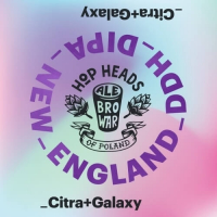 Пиво New England DDH DIPA Citra + Galaxy Пиво New England DDH DIPA Citra + Galaxy