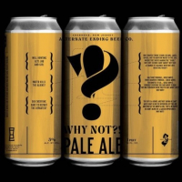 Пиво Why Not?!