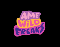 Пиво Spontané De Framboises