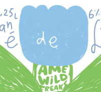 Пиво Spontané De Litchi