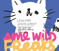 Пиво Spontanée Grain De Raisin