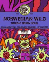 Пиво Nordic Berry Sour