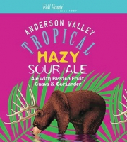 Пиво Tropical Hazy Sour Пиво Tropical Hazy Sour