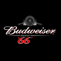 Пиво Budweiser Brew '66'