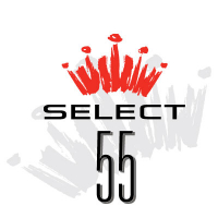 Пиво Budweiser Select 55