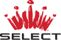 Пиво Budweiser Select