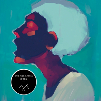 Пиво Une Aile Cassée