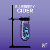Пиво Blueberry Пиво Blueberry
